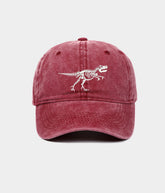 WASHED DINOSAUR.
